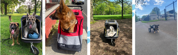 Winston's Wheels.
